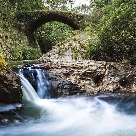 Finca Charco La Olla Jabugo Eksteriør billede